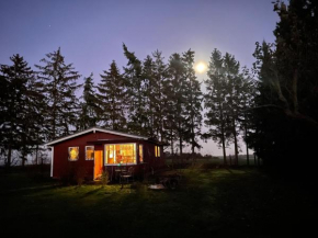 Landhaus mit Pool, Bungalow in der Natur, Hohenbollentin
